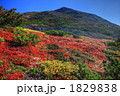 草紅葉とポン黒岳