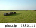 北海道の牧草地