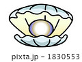 1830553