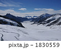 アレッチ氷河
