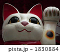 招き猫