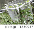 つる草が絡む放置自転車