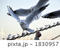 1830957