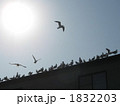 ちょっと一休み