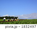 収穫 1832497