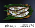 はたはた