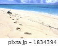 砂浜の足跡