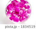 花びら
