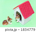 おもちゃの犬小屋