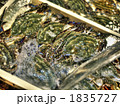 1835727