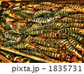 1835731