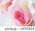 造花02
