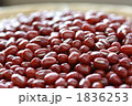 小豆