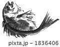 鯛