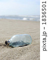 海岸で漂着物（瓶）を発見