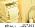 胎児の心音データー