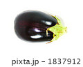 1837912