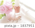 ネイルカラーとネイルチップ