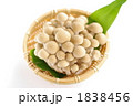 しめじ