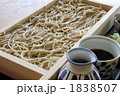 ニッポンの食