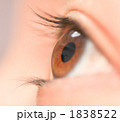 1838522