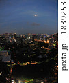 夜の東京