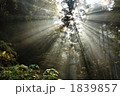 梅ヶ瀬渓谷の朝