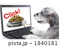 ネットショッピング