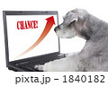 インターネット