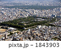 二条城を空撮