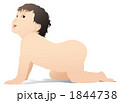 赤ちゃんハイハイ