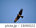 1846022