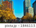 東京　丸の内　紅葉