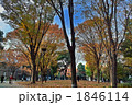 上野公園　紅葉