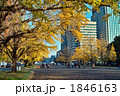 東京　丸の内　紅葉