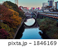 お茶の水　紅葉