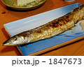 秋の味覚　脂がのったさんまの塩焼き