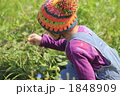 花を摘む女の子