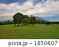 小岩井農場散歩・まきば園より岩手山