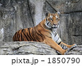 1850790
