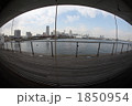 大桟橋