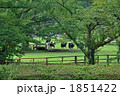 小岩井農場散歩・小岩井農場