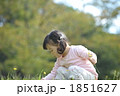 お花摘み