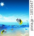 夏海_k_542160
