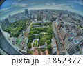 文京区街並み