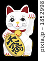 招き猫（黒背景）