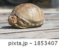 隠れろー！