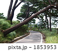 台風直後