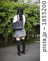 1855200