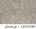 1855390